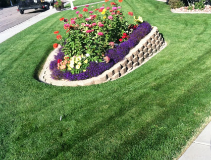 Complete Lawn Care Services Cedar City And Enoch Utah Backed With Over 12 Years Of Lawn Care Experience And Our Rock Solid Service Satisfaction Guarantee You Can T Go Wrong When Choose Cedar To