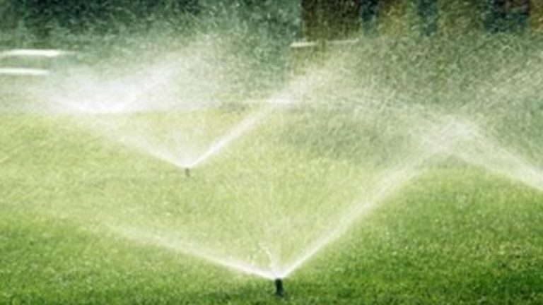 Proper Watering Practices For Cedar City Lawns